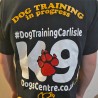 T-shirt "DOG TRAINING in progress"