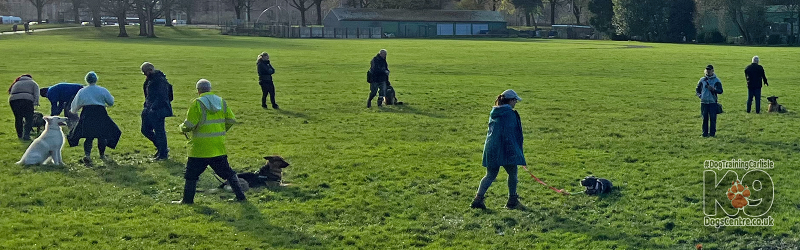 Dog Obedience Course in Carlisle