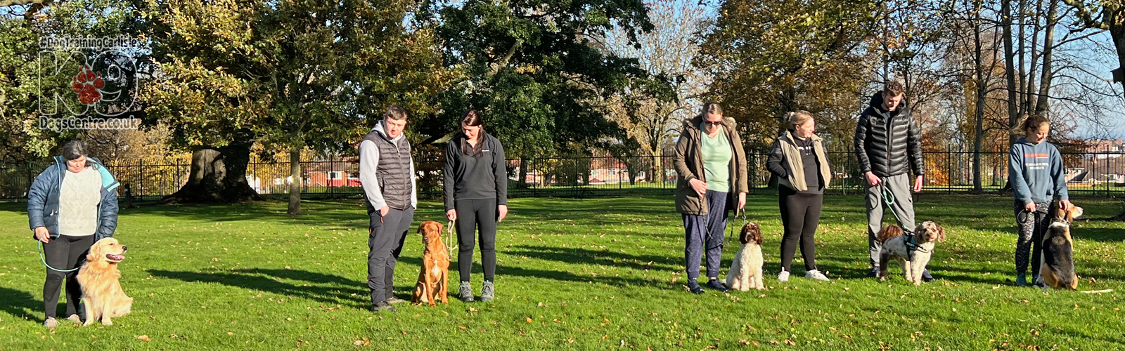 Dog Obedience Course in Carlisle